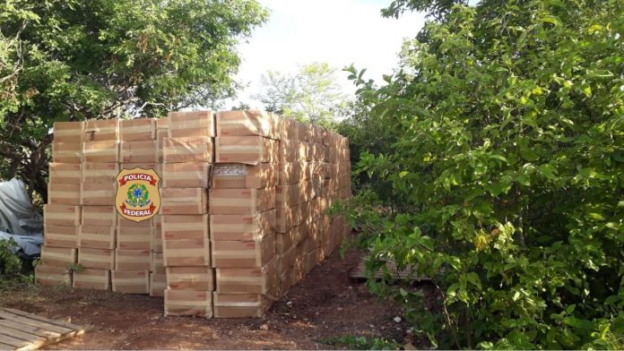 Justiça Federal condena 12 pessoas por organização criminosa e contrabando de cigarros no RN