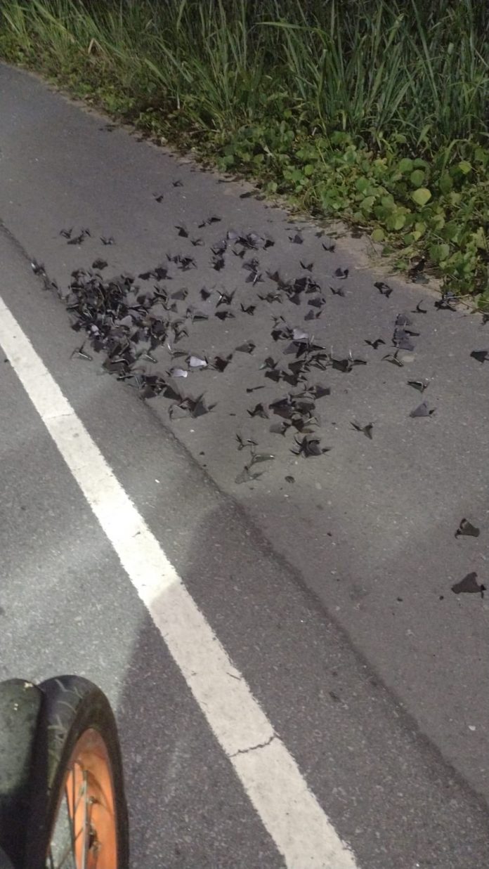 Criminosos de facções rivais trocam tiros em disputa por território na Grande Natal; PM intervém