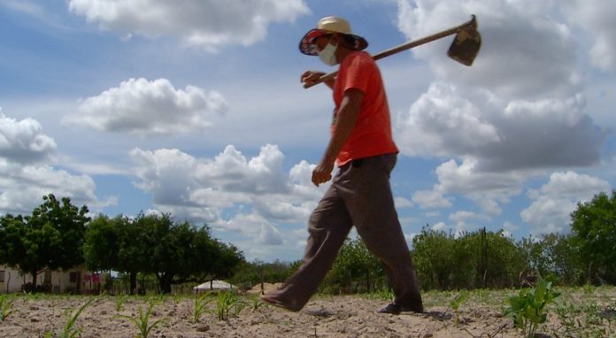 Agricultores potiguares pedem chuva no Dia de São José: ‘É nossa última esperança’