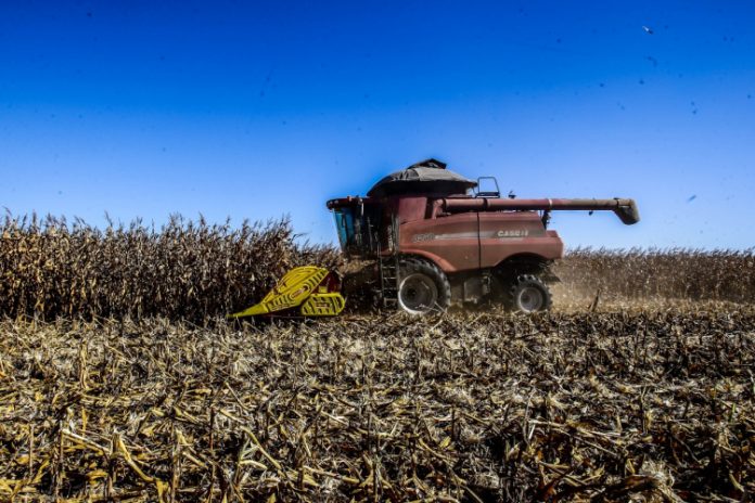 Saiba onde estão as terras que mais se valorizaram no Brasil