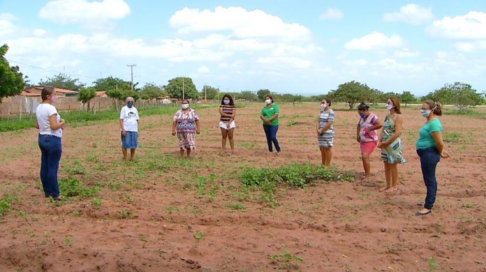 Mulheres de comunidade rural se unem para plantar e produzir em quintal coletivo no RN
