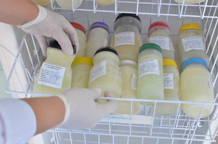 Com queda no estoque e alta demanda, Banco de Leite de João Pessoa reforça pedido por doações