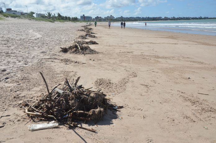 Cerca de 40 toneladas de lixo foram retiradas das praias de João Pessoa