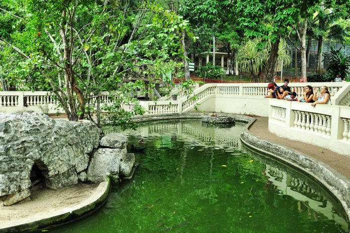 Zoológico da Bica reabre para visitantes nesta sexta-feira (9), em João Pessoa