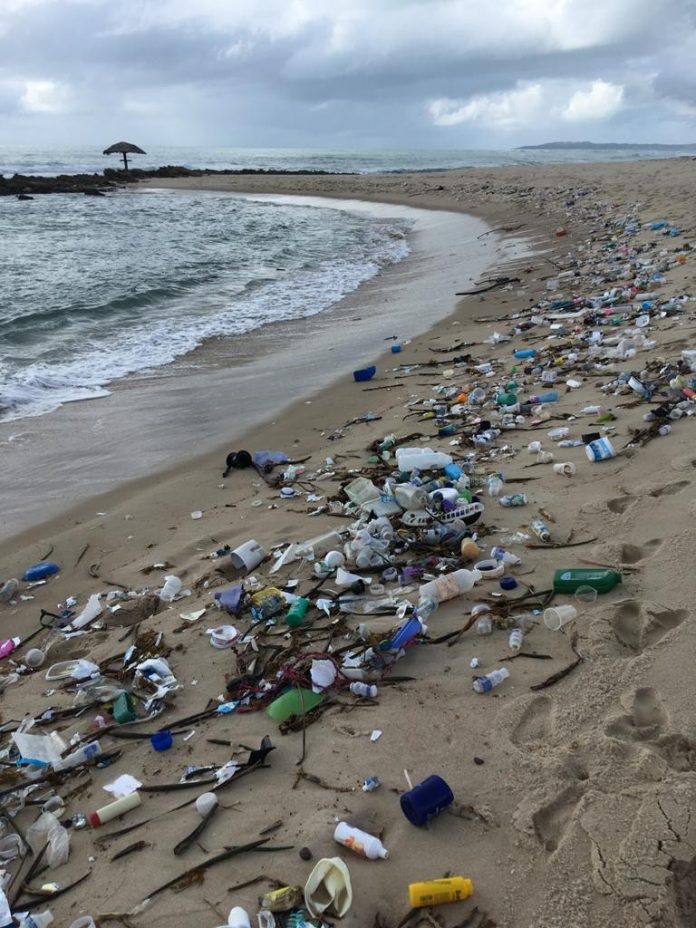 Veja imagens do lixo encontrado no litoral do RN