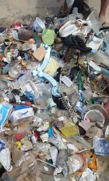 Meia tonelada de lixo é encontrada na praia da Pipa e prefeitura avalia impacto em área de desova de tartarugas