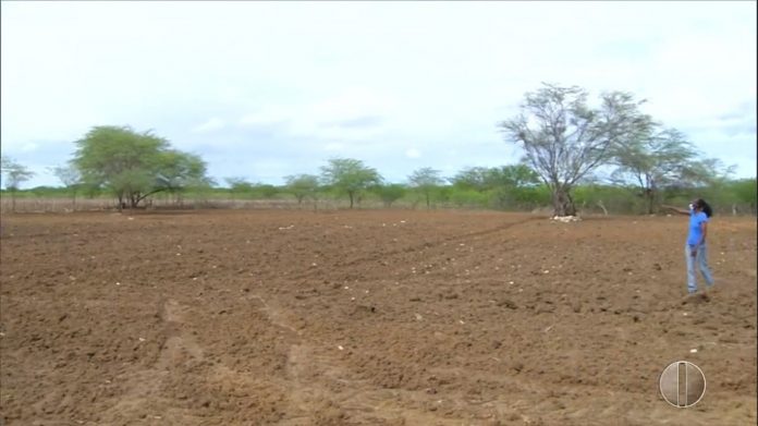 Agricultores e pecuaristas temem chuvas abaixo do normal e prejuízo na produção no RN
