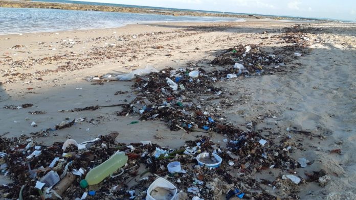 Lixo nas praias do RN: o que se sabe e o que falta esclarecer