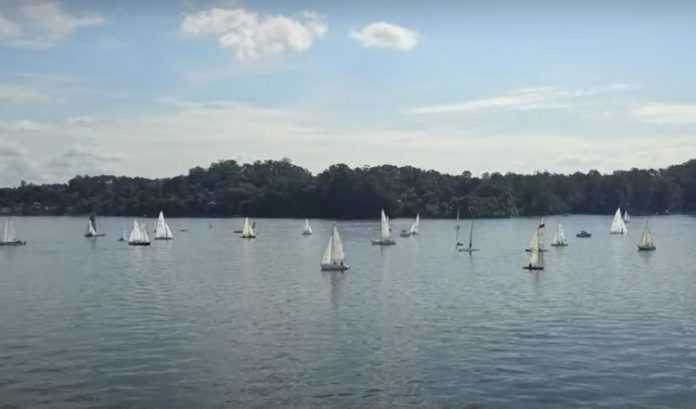 Velejadores organizam regata contra a fome em São Paulo