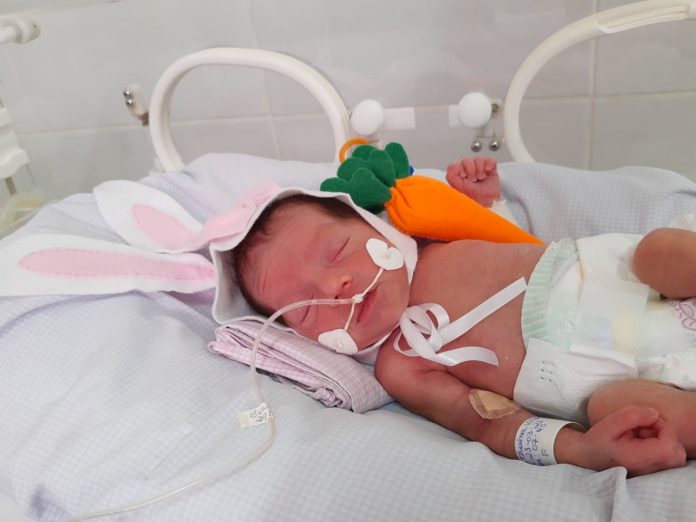 Bebês de UTI Neonatal de hospital em João Pessoa são fantasiados de ‘coelhinhos da Páscoa’