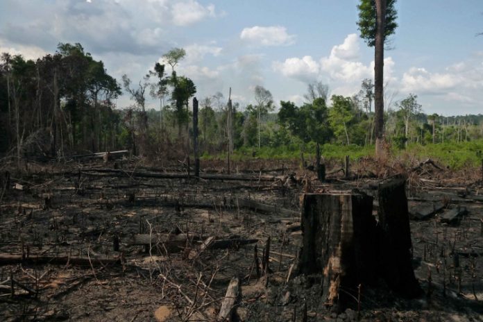 Brasil entrega floresta amazônica à própria sorte e deve pagar muito caro por isso