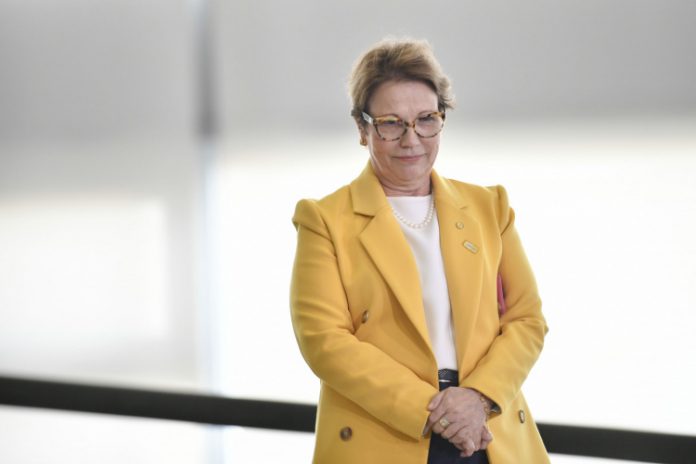 Preço do ovo deve aumentar com o encarecimento de insumos, diz Tereza Cristina