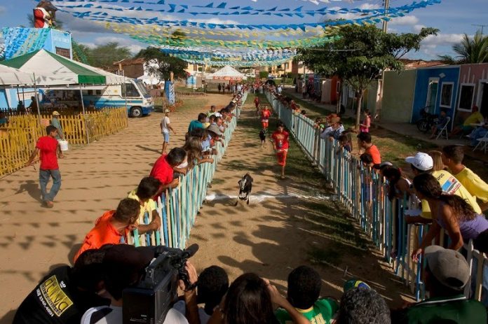 Festa do Bode Rei de Cabaceiras, na PB, vai acontecer de foma virtual em 2021