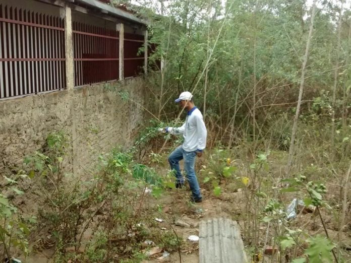 Paraíba registra aumento no número de casos prováveis de dengue, chikungunya e zika