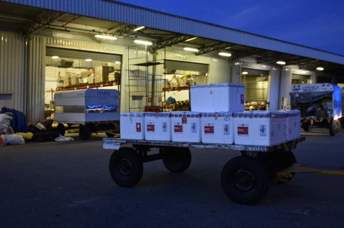 RN recebe mais 5.800 doses de CoronaVac e aguarda chegada de 101.750 de Oxford neste domingo (2)