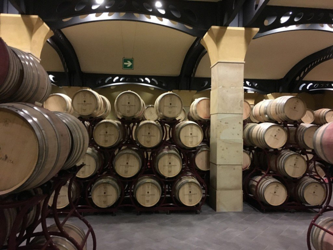 Diversidade climática faz com que a Sicília ofereça vinhos únicos, especiais e a preços competitivos