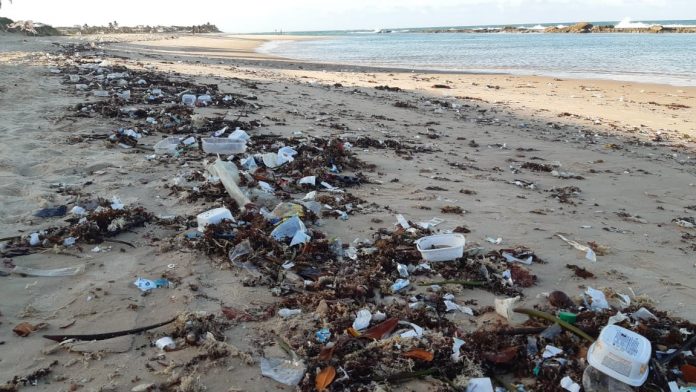 RN recolheu quase 50 toneladas de lixo em praias de 7 municípios, diz relatório do Idema
