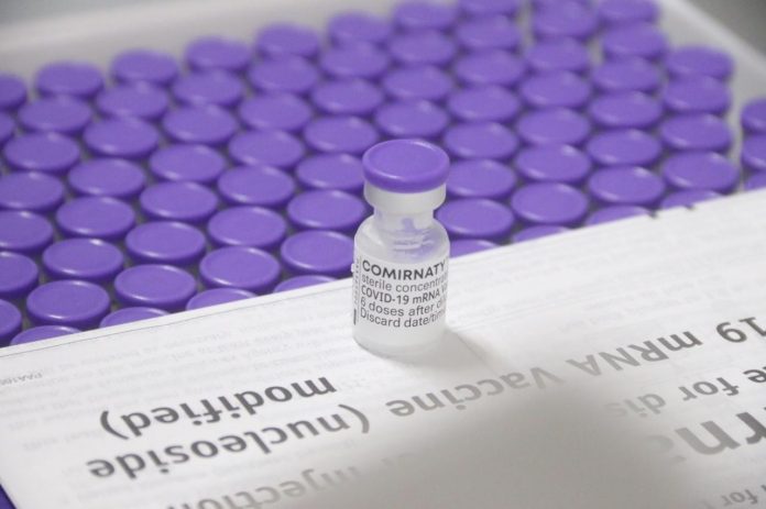 Sesap pretende distribuir vacinas da Pfizer para cidades da Grande Natal