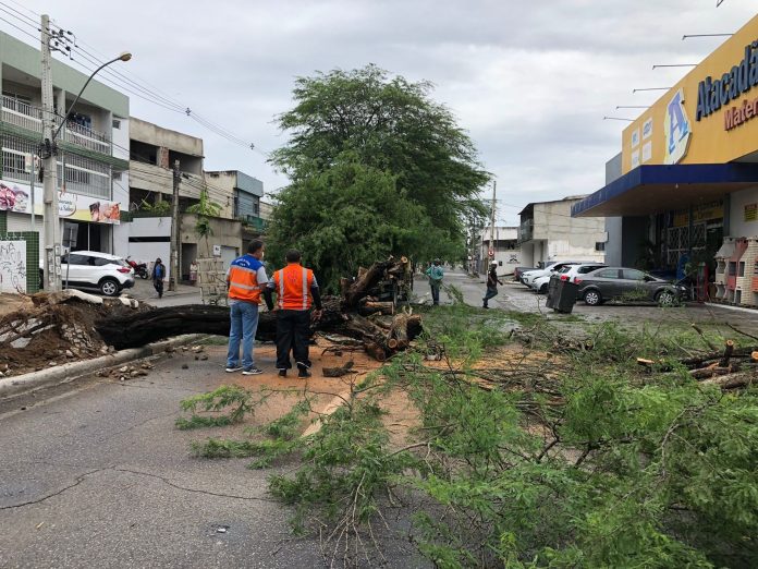 Campina Grande registra 25 ocorrência por causa das fortes chuvas na cidade