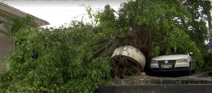 Fortes chuvas em João Pessoa derrubam árvores e tetos e deixa bairros sem energia