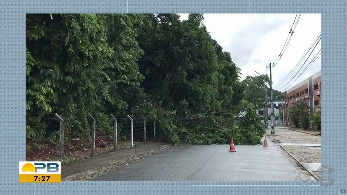 Chuvas registradas em João Pessoa estão dentro do volume esperado, diz Defesa Civil