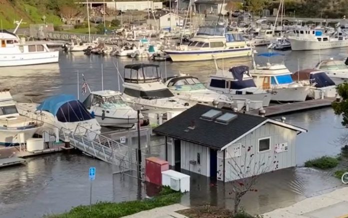 Erupção vulcânica em Tonga gera tsunami em regiões dos EUA e Canadá