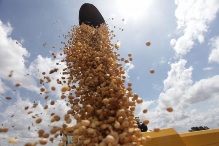 Quebra de safra: agro tem pressa para conhecer medidas de socorro do governo