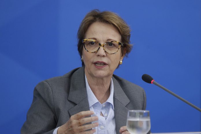 Exclusivo: ministra da Agricultura destaca medidas para socorrer produtores