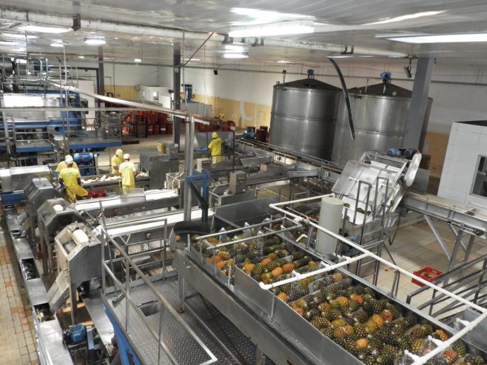 Comércio Exterior da Paraíba: empresa de sucos e polpas de frutas é case de sucesso no estado