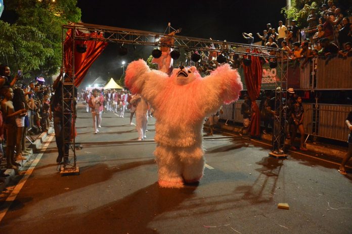 Ala ursas lamentam 2º ano sem Carnaval Tradição em João Pessoa: ‘muito triste não poder fazer o que mais gostamos’