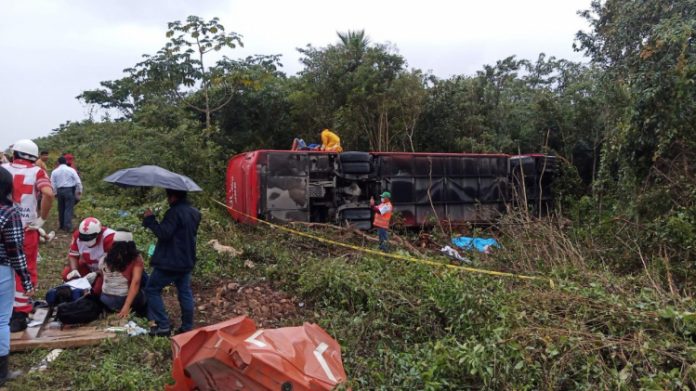Colisão entre ônibus e caminhão deixa 8 mortos e 15 feridos no México