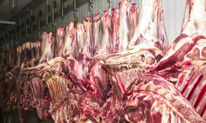 Cota de exportação de suínos para Rússia pode ser prorrogada