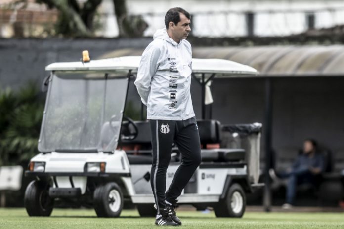 Fábio Carille não é mais o treinador do Santos