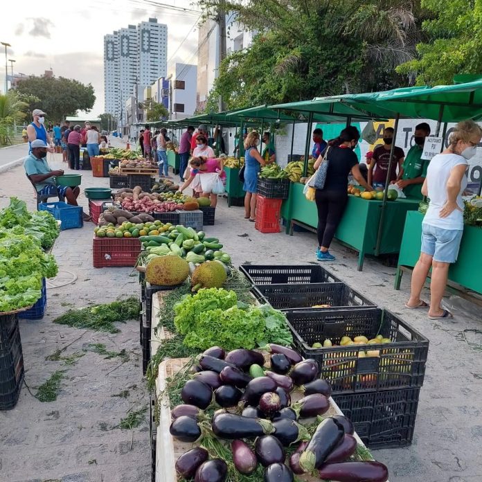 Agricultora há mais de 20 anos fala sobre rotina de trabalho: ‘o que o homem planta, a cidade janta’