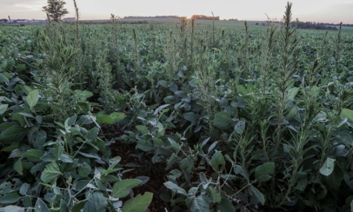 Sem recursos para bancar juros baixos, governo atrasa socorro a agricultores