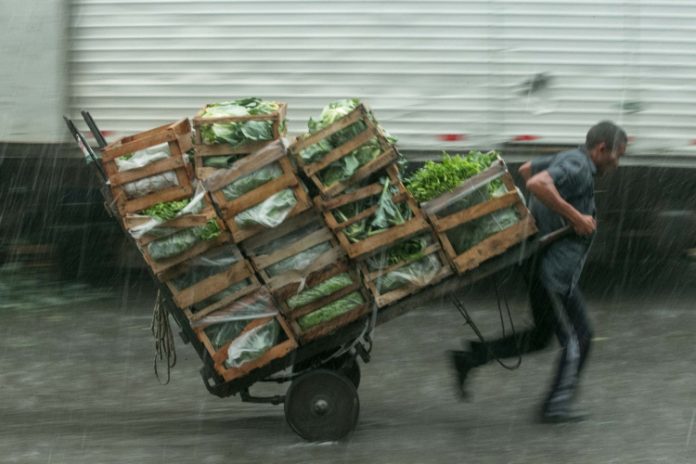 Cenoura, abobrinha e repolho puxam a inflação em fevereiro; veja itens que mais subiram