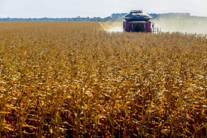 Com risco de faltar fertilizante, governo busca parcerias