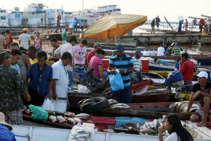 Militância vê boto cor-de-rosa, árvores e índios na Amazônia, mas não os 20 milhões de brasileiros que vivem lá