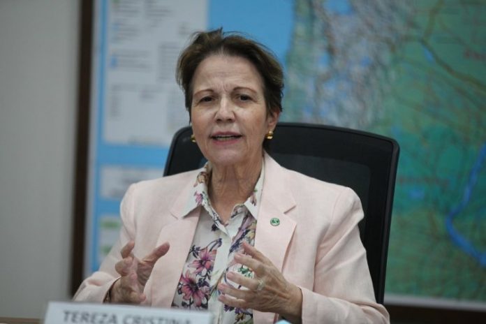 Tereza Cristina diz que pretende ajudar governo a aprovar pautas no Senado e rebate fala de Lula sobre o Congresso