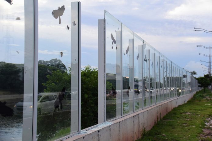 USP confirma instalação de corredor verde na raia olímpica