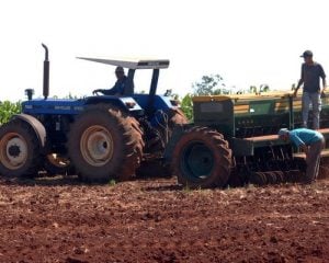 Trigo é aposta para safra de inverno gaúcha