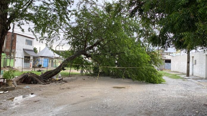 Campina Grande registra mais de 30 ocorrências devido a fortes chuvas neste domingo (27)