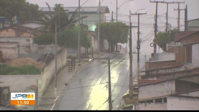 Fortes chuvas em Campina Grande derrubam árvores e deixa escola alagada