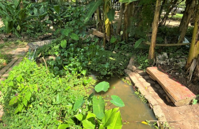 A breve história de uma nascente