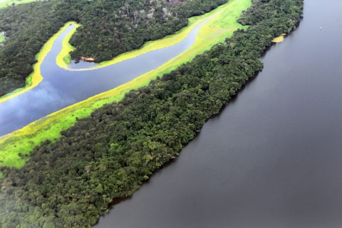 ‘Direto ao Ponto’ entrevista Dirceu Frederico Sobrinho, empresário do setor de mineração