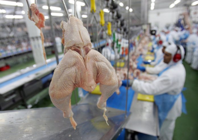 Com demanda internacional, carne de frango sobe no Brasil