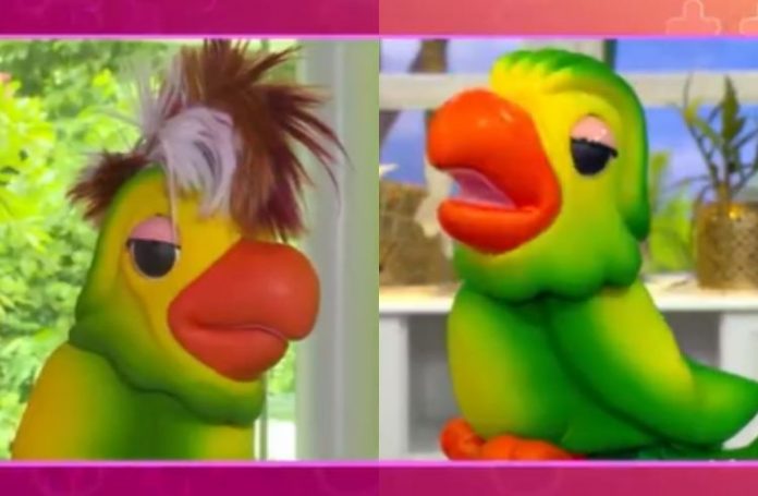 Novo papagaio surge no ‘Mais Você’ e discute com ‘filho’ de Louro José; entenda a confusão