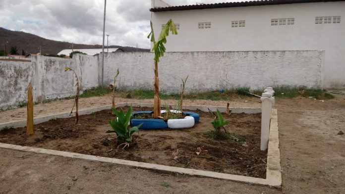 UFPB desenvolve novo modelo de ecofossa que permite reúso de água após tratamento de esgoto