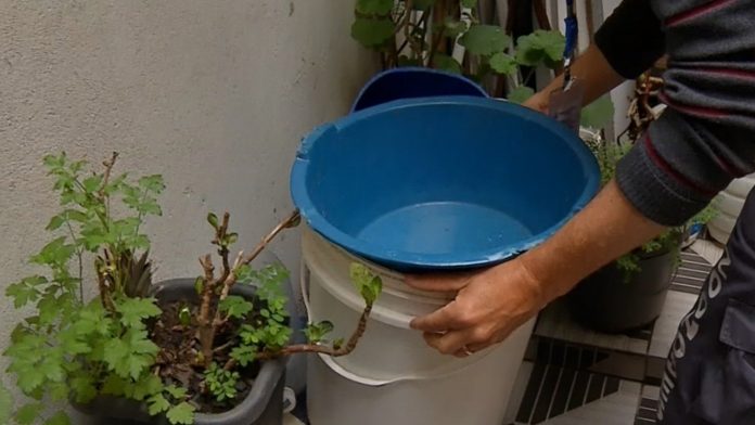 Paraíba tem 489 novos casos prováveis de arboviroses em outubro