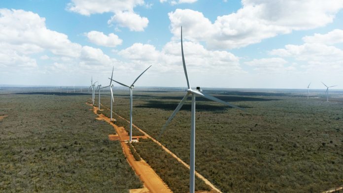 RN lidera produção de energia eólica no Brasil e projeta ampliar parques nos próximos anos